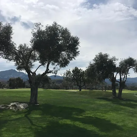 Apartment Blue Freedom - Deja Blue Wellness